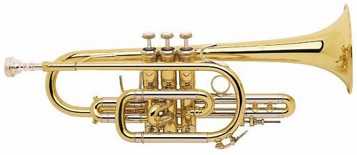 Корнет Bb BACH 181ML Stradivarius купить в Москве: цены, доставка, фото Корнет Bb BACH 181ML Stradivarius купить в Москве: цены, доставка, фото