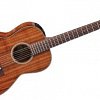 TAKAMINE LEGACY EF407 электроакустическая гитара типа FXC CUTAVAY, цвет натуральный купить в Москве: цены, доставка, фото TAKAMINE LEGACY EF407 электроакустическая гитара типа FXC CUTAVAY, цвет натуральный купить в Москве: цены, доставка, фото