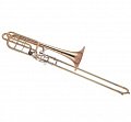 Тромбон бас Bb/F/D/Gb BRAHNER BTB-830 купить в Москве: цены, доставка, фото Тромбон бас Bb/F/D/Gb BRAHNER BTB-830 купить в Москве: цены, доставка, фото