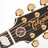 TAKAMINE ARTIST EF250TK TOBY KEITH SIGNATURE электроакустическая гитара JUMBO с кейсом, цвет санберст купить в Москве: цены, доставка, фото TAKAMINE ARTIST EF250TK TOBY KEITH SIGNATURE электроакустическая гитара JUMBO с кейсом, цвет санберст купить в Москве: цены, доставка, фото