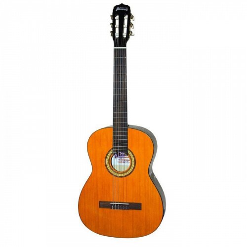 Mustang MGC1YW классическая гитара купить в Москве: цены, доставка, фото Mustang MGC1YW классическая гитара купить в Москве: цены, доставка, фото