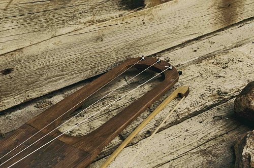 Басовая Тальхарпа купить в Москве: цены, доставка, фото Басовая Тальхарпа купить в Москве: цены, доставка, фото