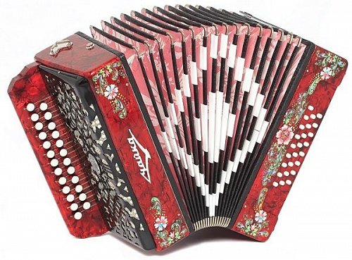 Чайка 204 в магазине Skybeat.ru Шуйская гармонь Чайка 204 в магазине Skybeat.ru