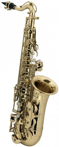 ROY BENSON AS-201 альт саксофон купить в Москве: цены, доставка, фото ROY BENSON AS-201 альт саксофон купить в Москве: цены, доставка, фото