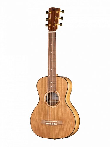 TR2-2 Гитара электро-акустическая, трэвел, акация, Poni купить в Москве: цены, доставка, фото TR2-2 Гитара электро-акустическая, трэвел, акация, Poni купить в Москве: цены, доставка, фото