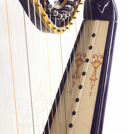 Арфа Little Harp Caprice купить в Москве: цены, доставка, фото Арфа Little Harp Caprice купить в Москве: цены, доставка, фото