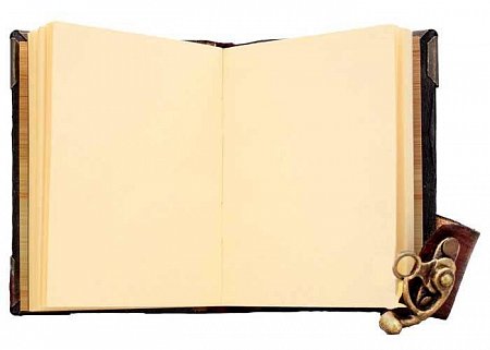 Блокнот-ежедневник для музыканта Solo коричневый купить в Москве: цены, доставка, фото Блокнот-ежедневник для музыканта Solo коричневый купить в Москве: цены, доставка, фото