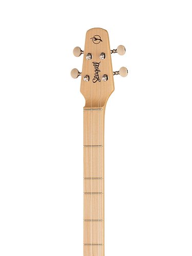 Дульцимер Seagull M4 купить в Москве: цены, доставка, фото Дульцимер Seagull M4 купить в Москве: цены, доставка, фото