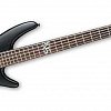 IBANEZ K5-BKF пятиструнная бас-гитара купить в Москве: цены, доставка, фото IBANEZ K5-BKF пятиструнная бас-гитара купить в Москве: цены, доставка, фото