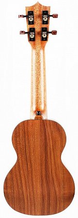 Укулеле Enya EUS-X1 купить в Москве: цены, доставка, фото Укулеле Enya EUS-X1 купить в Москве: цены, доставка, фото