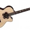 TAKAMINE LEGACY TSF48C SANTA FE электроакустическая типа NEX CUTAWAY, цвет натуральный купить в Москве: цены, доставка, фото TAKAMINE LEGACY TSF48C SANTA FE электроакустическая типа NEX CUTAWAY, цвет натуральный купить в Москве: цены, доставка, фото