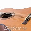 Классическая гитара MADEIRA HC-09GY купить в Москве: цены, доставка, фото Классическая гитара MADEIRA HC-09GY купить в Москве: цены, доставка, фото