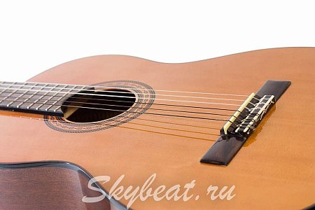 Классическая гитара MADEIRA HC-09GY купить в Москве: цены, доставка, фото Классическая гитара MADEIRA HC-09GY купить в Москве: цены, доставка, фото