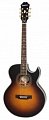 EPIPHONE PR-5E VINTAGE SUNBURST GOLD HDWE (w/ Shadow Preamp) электроакустическая гитара купить в Москве: цены, доставка, фото EPIPHONE PR-5E VINTAGE SUNBURST GOLD HDWE (w/ Shadow Preamp) электроакустическая гитара купить в Москве: цены, доставка, фото