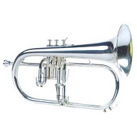 Флюгельгорн купить в Москве: цены, доставка, фото Флюгельгорн купить в Москве: цены, доставка, фото