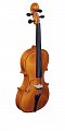 Скрипка CREMONA 193W 3/4 купить в Москве: цены, доставка, фото Скрипка CREMONA 193W 3/4 купить в Москве: цены, доставка, фото