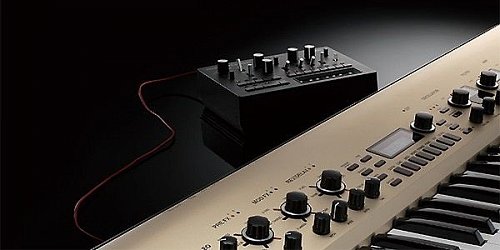 KORG KINGKORG аналогово моделирующий синтезатор купить в Москве: цены, доставка, фото KORG KINGKORG аналогово моделирующий синтезатор купить в Москве: цены, доставка, фото
