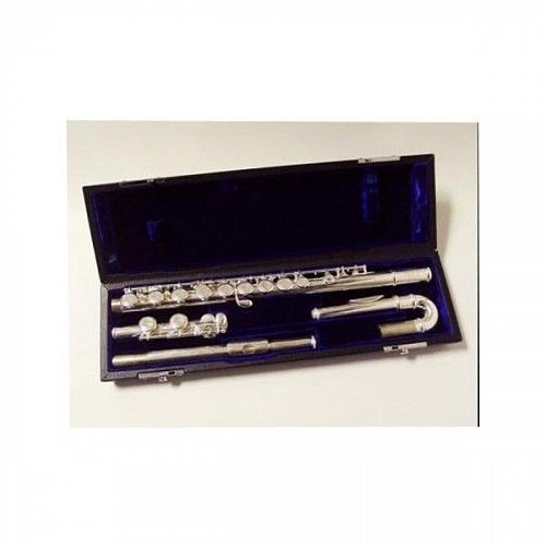 ROY BENSON FL-402R2 флейта (Открытые клапана в линию) купить в Москве: цены, доставка, фото ROY BENSON FL-402R2 флейта (Открытые клапана в линию) купить в Москве: цены, доставка, фото