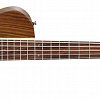 IBANEZ BTB685SC-NTF NATURAL FLAT пятиструнная бас-гитара купить в Москве: цены, доставка, фото IBANEZ BTB685SC-NTF NATURAL FLAT пятиструнная бас-гитара купить в Москве: цены, доставка, фото