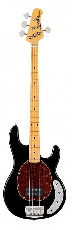 Sterling by MusicMan RAY34CABK бас-гитара 4х струнная. купить в Москве: цены, доставка, фото Sterling by MusicMan RAY34CABK бас-гитара 4х струнная. купить в Москве: цены, доставка, фото
