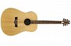 PEAVEY DW-3 Acoustic NAT Электроакустическая гитара с тюнером купить в Москве: цены, доставка, фото