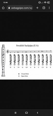 Шведская волынка Сакпипа продажа в Москве Шведская волынка Сакпипа купить в Москве: цены, доставка, фото