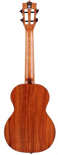 Укулеле Enya EUT-X1 купить в Москве: цены, доставка, фото Укулеле Enya EUT-X1 купить в Москве: цены, доставка, фото