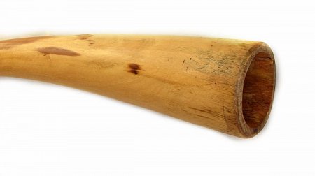 Диджериду из эвкалипта – До# – 150 см (Трампет: Ре, Соль#) продажа в Москве Диджериду из эвкалипта – До# – 150 см (Трампет: Ре, Соль#) купить в Москве: цены, доставка, фото