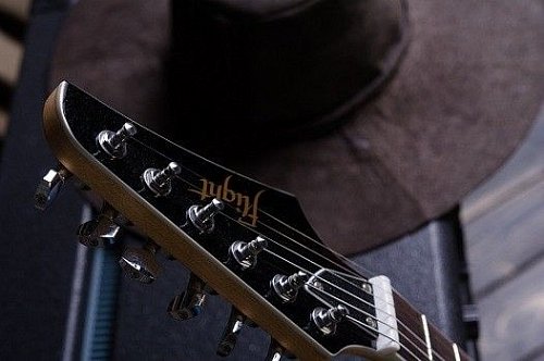 Электрогитара FLIGHT SE35 MBK купить в Москве: цены, доставка, фото Электрогитара FLIGHT SE35 MBK купить в Москве: цены, доставка, фото