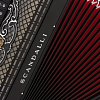 Аккордеон Scandalli Tradizione Polifonico XII купить в Москве: цены, доставка, фото Аккордеон Scandalli Tradizione Polifonico XII купить в Москве: цены, доставка, фото