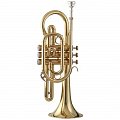 Корнет WISEMANN DCT-300 купить в Москве: цены, доставка, фото Корнет WISEMANN DCT-300 купить в Москве: цены, доставка, фото
