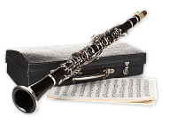 Кларнеты для музыкальной школы купить в Москве: цены, доставка, фото Кларнеты для музыкальной школы купить в Москве: цены, доставка, фото