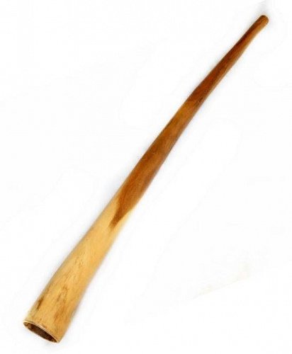 Диджериду из жёлтого эвкалипта 153 см – Нота Фа ebm-2 продажа в Москве Диджериду из жёлтого эвкалипта 153 см – Нота Фа ebm-2 купить в Москве: цены, доставка, фото