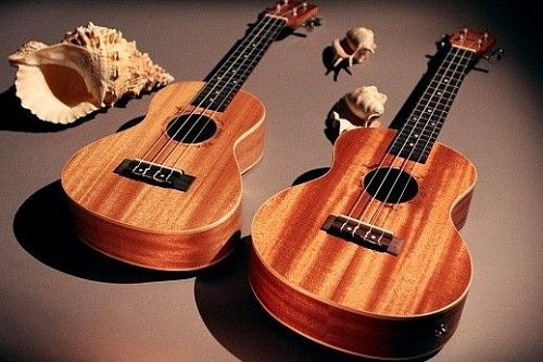 Укулеле FLIGHT DUT 34 CEQ MAH/MAH купить в Москве: цены, доставка, фото Укулеле FLIGHT DUT 34 CEQ MAH/MAH купить в Москве: цены, доставка, фото