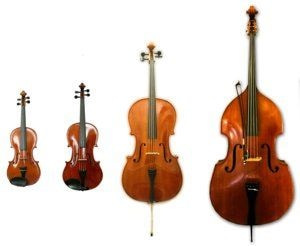 Струнно-смычковые инструменты купить в Москве: цены, доставка, фото Струнно-смычковые инструменты купить в Москве: цены, доставка, фото