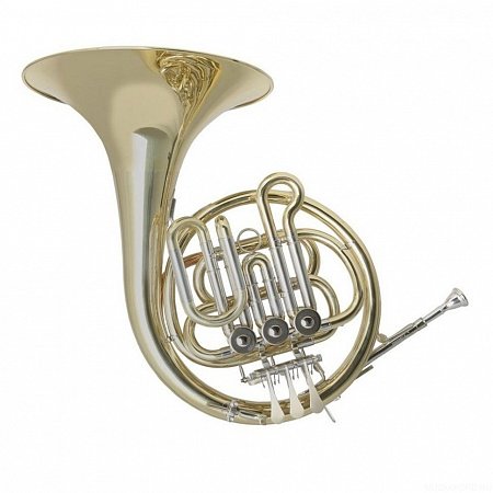 Валторна одинарная "Bb" HOLTON HR-650B купить в Москве: цены, доставка, фото Валторна одинарная "Bb" HOLTON HR-650B купить в Москве: цены, доставка, фото